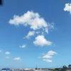 lamiaebdl1