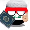 irq313