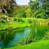 om_awladi