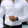 mustafamohammed527