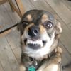 joint_enjoyer