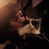 hearts4gatos