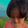 minhnguyen8137