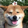 cuncungnhato0