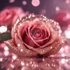ladyrose_____