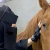 ppnaf