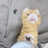 shibashikakatante