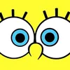 camel_spongy