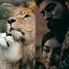 nazli4681
