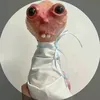 l_unconnu_connu