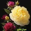 user068313422