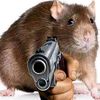 hat_the_rat