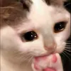 lyez3_