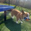 winstonmapleton