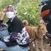 hutabarat.tina