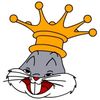 Netcrown