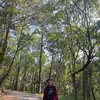 nwweed