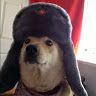 mike_5241
