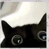 flori._.edit