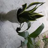 giang95.com