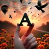 amina_ndir