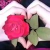 dyzd5tt5q04w