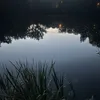 missi604