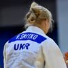 vlada133