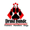 druidh.hunde
