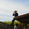 daniloangelico