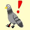 terrificpidgeon