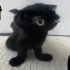 jqbiq