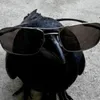 not_naver13