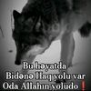 birkarol342