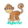monkey _reporter