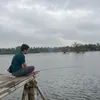 longnguyen4427
