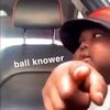 balllknower