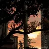 nguyenhoangmy26