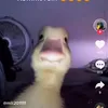 zzzzzzzzzoooooooooeeeeee