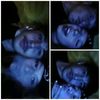 hey_ylenia