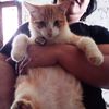 rumahkucingbubu.21