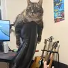 daw_son_of_a_gun