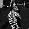 nika_gaboshvili