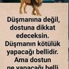addas5555