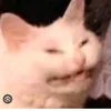 mochafirst