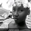 nari_will