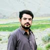 wasimtareen8