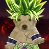 tylerj5
