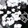 bxwxre