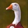 gooseyboy386